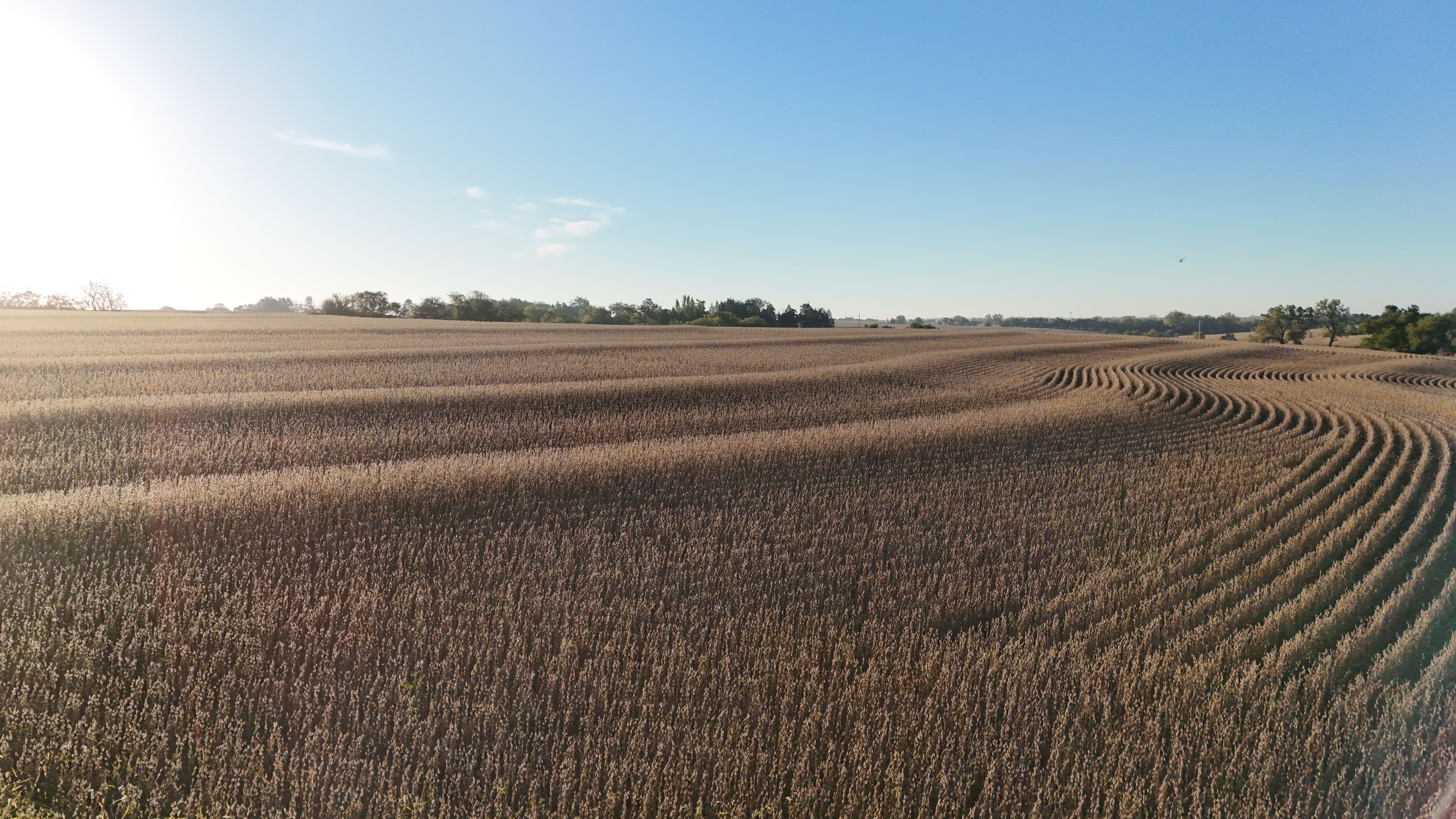Listing Photo: lancaster-county-ne-125-acres (33)